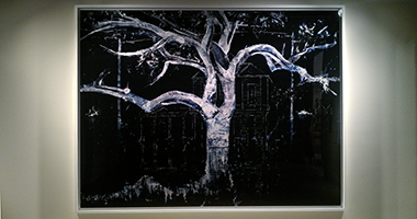 Kelly-Barrie-Mirror-House-Santa-Monica-Museum-of-Art