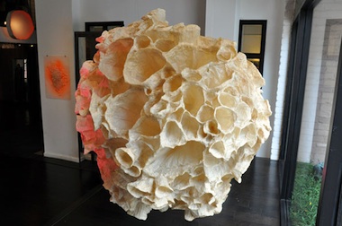 Mary Button Durrel. Asteroid