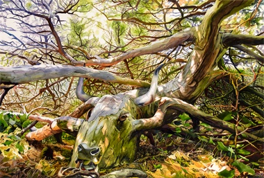 Chris_Doyle-The_Larger_Illusion-detail