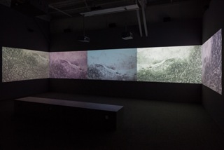 4.9_Werner_Herzog_Hearsay_of_the_Soul_02