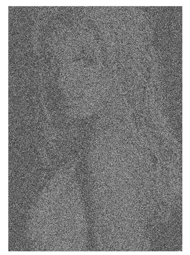 Discenza_Noise_Study_001