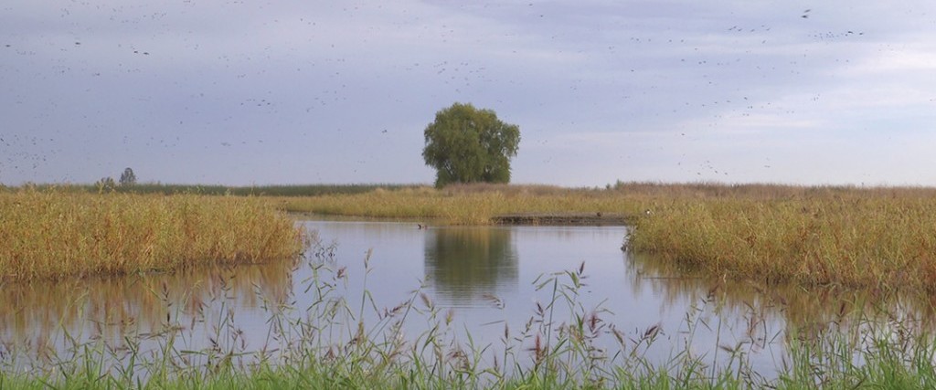 Bit Torrent: The Work of Cynthia Hooper