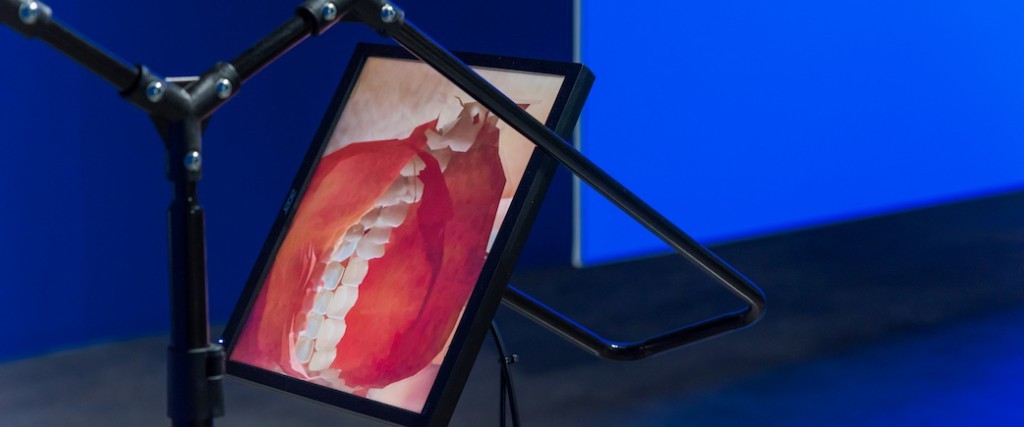 The Tactical Utopianism of Sondra Perry