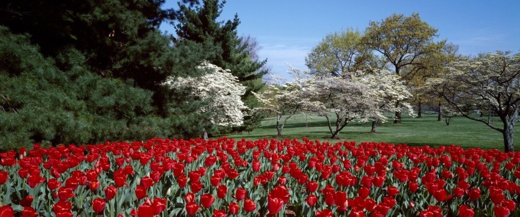 Scenic Overlook: Brian Bartz’s Techno-Plant Systems
