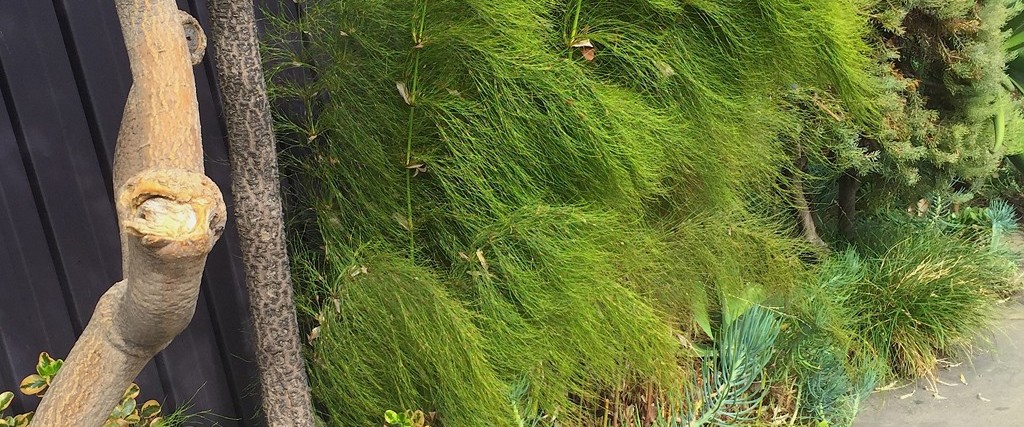 LPP in Conversation: Binta Ayofemi