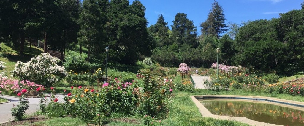 Episode 6: The Value of Doing Nothing