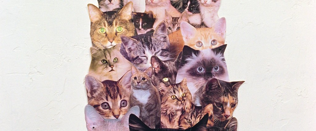 Light Years: Revisiting In A Different Light