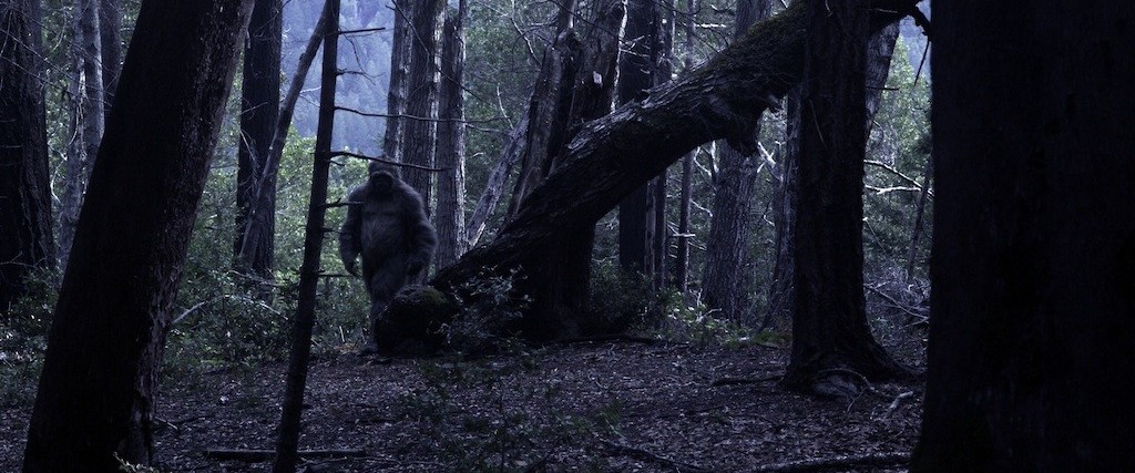 My Grandfather Met Liberace and I’ve Never Been to Burning Man
