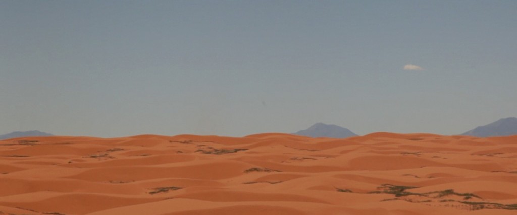 (faltering to extinction)