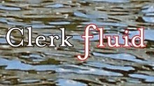 Excerpts from Clerk Fluid